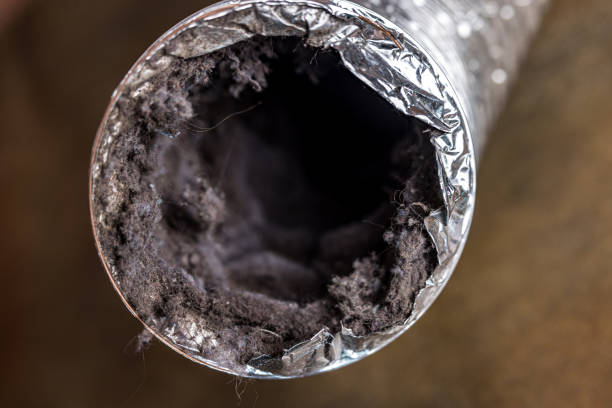 Air Duct Mold Removal in Samson, AL